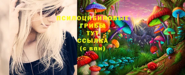 PSILOCYBIN Верхнеуральск